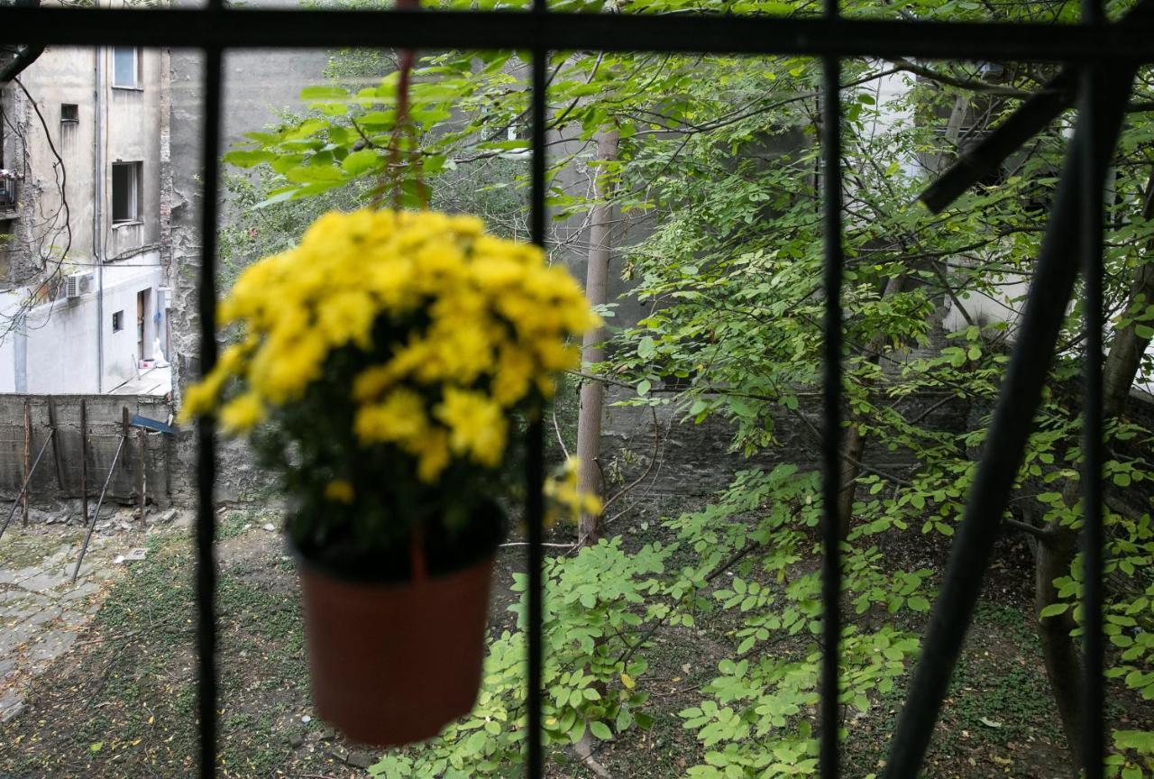 Natalie'S Place Belgrád Kültér fotó